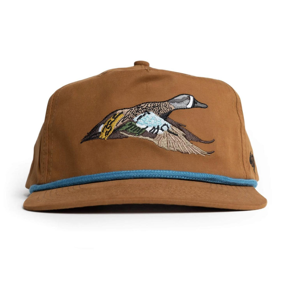 Blue Winged Teal - Pintail Brown