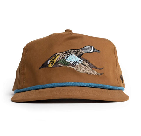 Blue Winged Teal - Pintail Brown