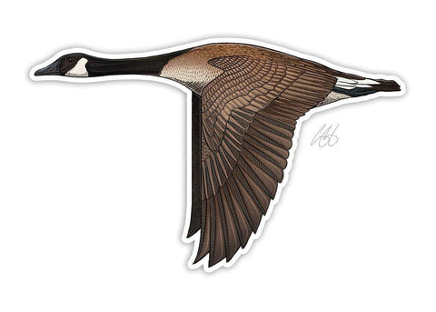 Canada Goose Decal