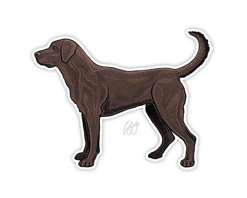 Chocolate Lab Decal