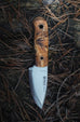Mandra - Les Stroud Design