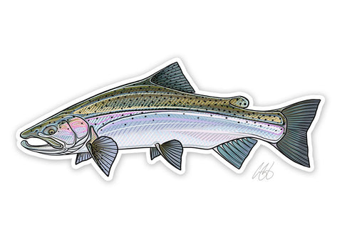 Steelhead Decal