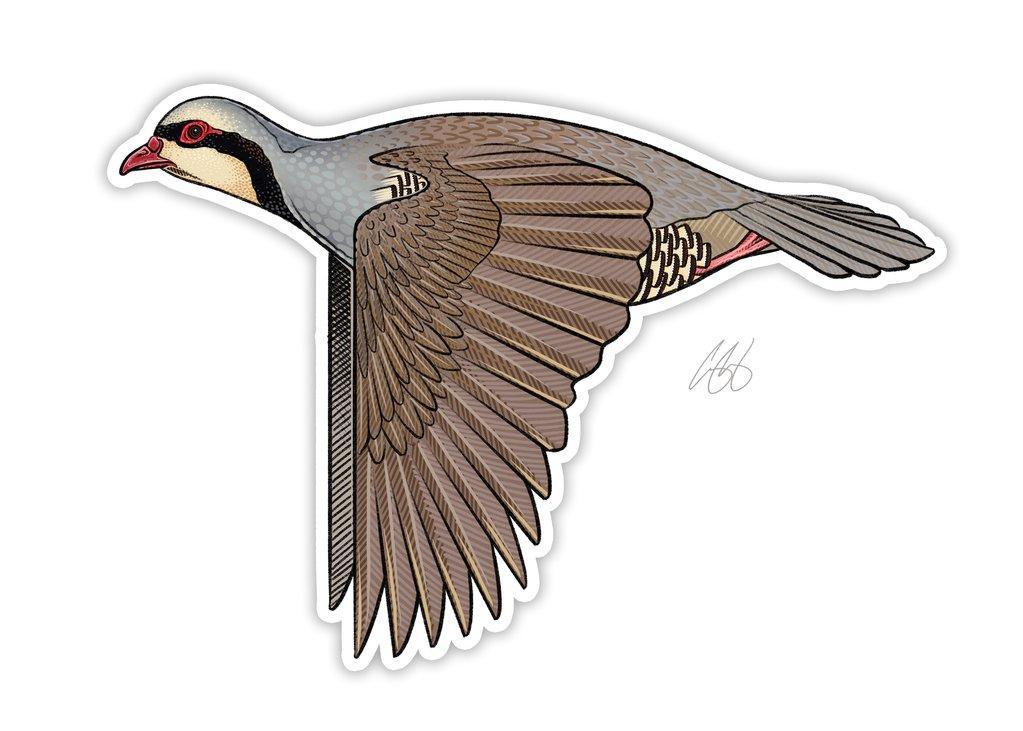 Chukar Decal